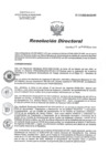 Vista preliminar de documento RD 031-2020-SA-DG-INR
