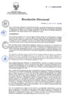 Vista preliminar de documento RD 036-2020-SA-DG-INR