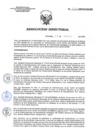 Vista preliminar de documento RD 037-2020-SA-DG-INR