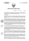 Vista preliminar de documento RD 041-2020-SA-DG-INR