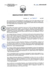 Vista preliminar de documento RD 028-2020-SA-DG-INR