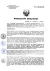 Vista preliminar de documento RD 034-2020-SA-DG-INR