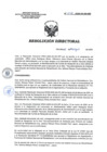 Vista preliminar de documento RD 047-2020-SA-DG-INR