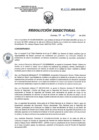 Vista preliminar de documento RD 053-2020-SA-DG-INR