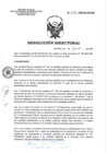 Vista preliminar de documento RD 094-2020-SA-DG-INR