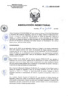 Vista preliminar de documento RD 096-2020-SA-DG-INR