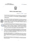 Vista preliminar de documento RD 100-2020-SA-DG-INR