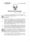 Vista preliminar de documento RD 108-2020-SA-DG-INR