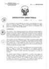 Vista preliminar de documento RD 112-2020-SA-DG-INR