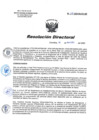 Vista preliminar de documento RD 117-2020-SA-DG-INR