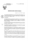 Vista preliminar de documento RD 123-2020-SA-DG-INR