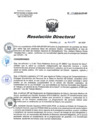 Vista preliminar de documento RD 119-2020-SA-DG-INR