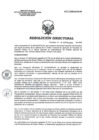 Vista preliminar de documento RD 129-2020-SA-DG-INR