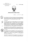 Vista preliminar de documento RD 133-2020-SA-DG-INR