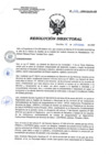Vista preliminar de documento RD 135-2020-SA-DG-INR