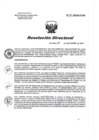 Vista preliminar de documento RD 138-2020-SA-DG-INR