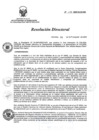 Vista preliminar de documento RD 137-2020-SA-DG-INR