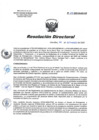 Vista preliminar de documento RD 139-2020-SA-DG-INR