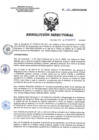 Vista preliminar de documento RD 211-2020-SA-DG-INR