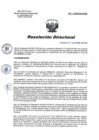 Vista preliminar de documento RD 212-2020-SA-DG-INR