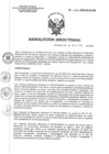Vista preliminar de documento RD 218-2020-SA-DG-INR
