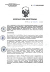 Vista preliminar de documento RD 214-2020-SA-DG-INR