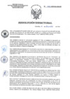 Vista preliminar de documento RD 222-2020-SA-DG-INR