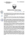 Vista preliminar de documento RD 264-2020-SA-DG-INR