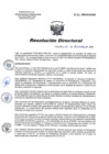 Vista preliminar de documento RD 261-2020-SA-DG-INR