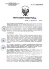 Vista preliminar de documento RD 259-2020-SA-DG-INR
