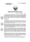 Vista preliminar de documento RD 260-2020-SA-DG-INR