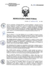 Vista preliminar de documento RD 263-2020-SA-DG-INR