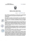 Vista preliminar de documento RD 267-2020-SA-DG-INR