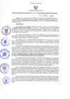 Vista preliminar de documento RES N°048-2023-GRDS