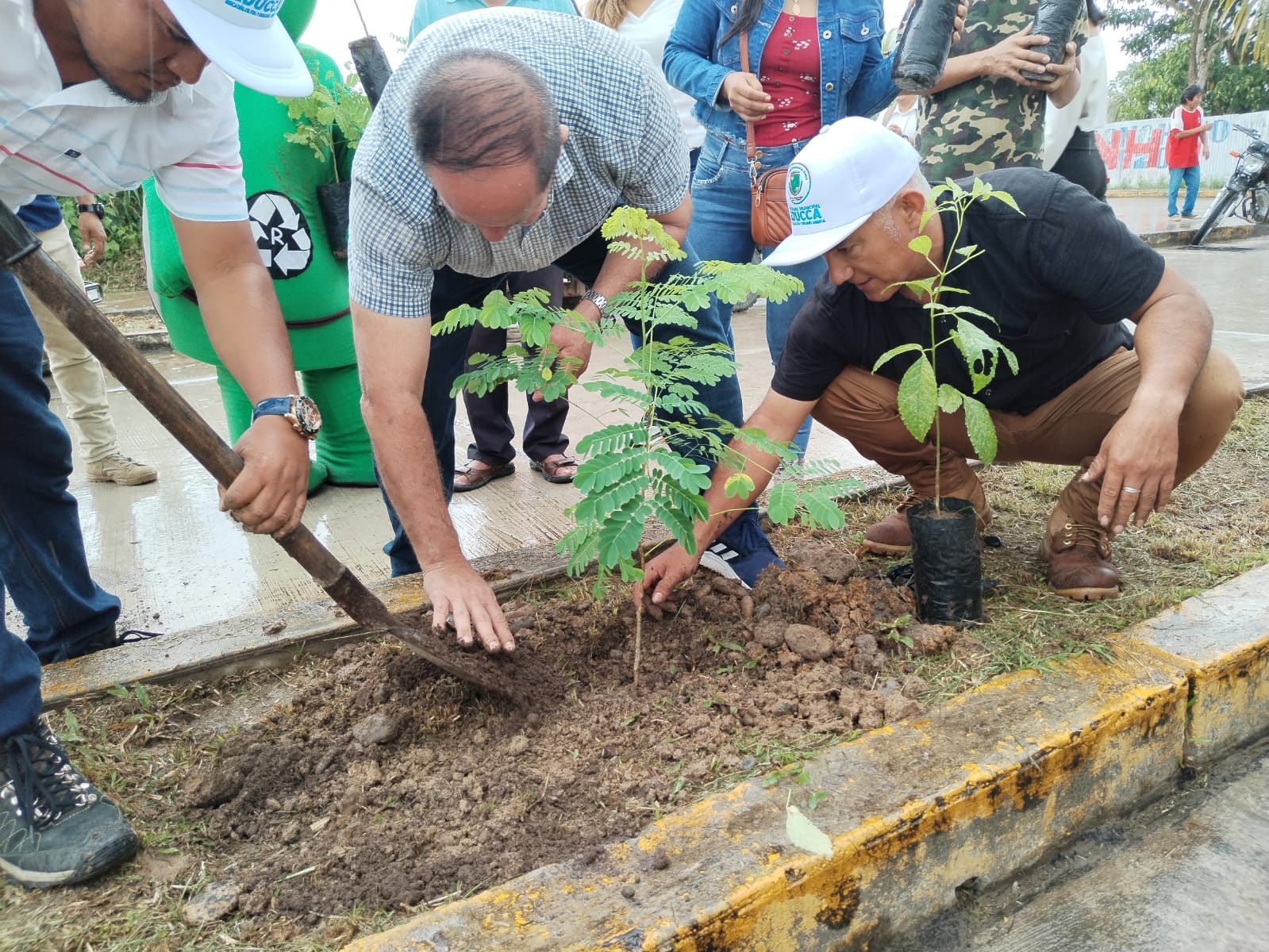 Relizan siembra de plantas ornamentales