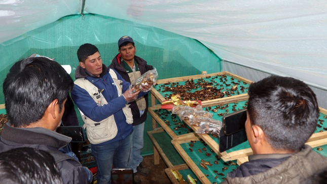 Funcionarios de la municipalidad distrital de Marcabal, realizaron una visita en conjunto con funcionarios de la Municipalidad de Chugay y Asociación Pataz a la Asociación de Productores "Las Colpas"