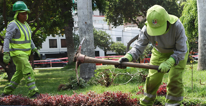 ¡Rehabilitaremos 4300 m2 de áreas verdes!