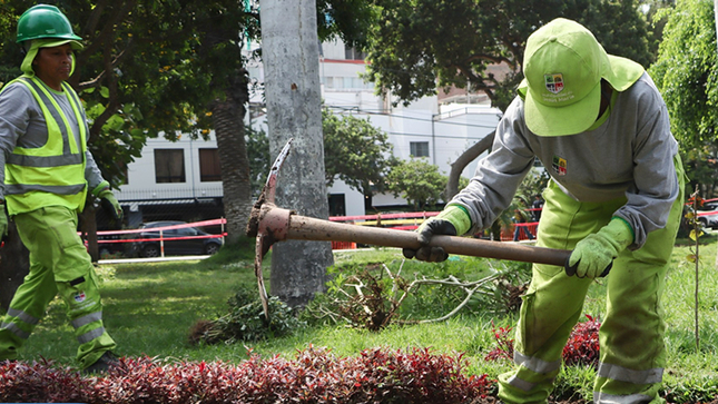 ¡Rehabilitaremos 4300 m2 de áreas verdes!