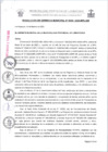 Vista preliminar de documento RG0036-2023