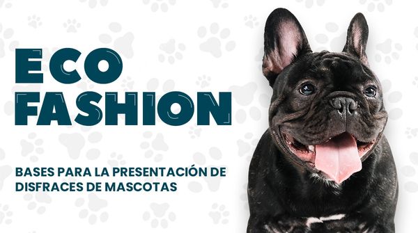 Eco Fashion