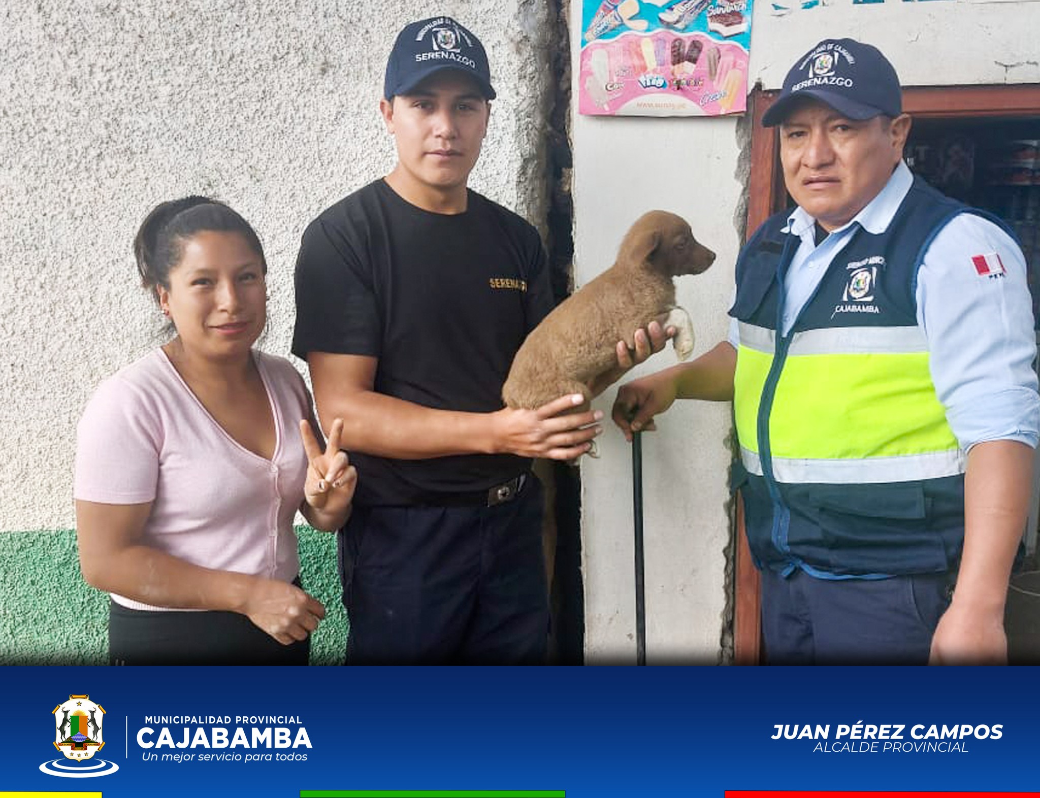 mascota