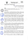 Vista preliminar de documento RD-N-313-2021.pdf