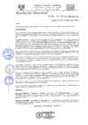 Vista preliminar de documento RD-N-310-2021.pdf