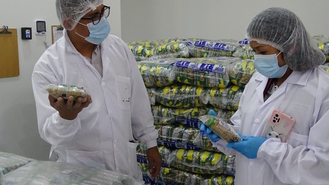 Servicio alimentario escolar