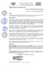 Vista preliminar de documento RD-N-295-2021.pdf