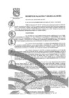 Vista preliminar de documento Decreto de Alcaldía Nº005-2021-DA-MVES