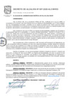Vista preliminar de documento Decreto de Alcaldía Nº007-2020-DA-MVES