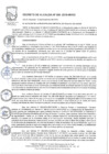 Vista preliminar de documento Decreto de Alcaldía Nº008-2019-DA-MVES