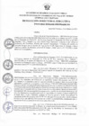 Vista preliminar de documento RDE Nº044-2023-MIDAGRI-PROVRAEM-DE.pdf