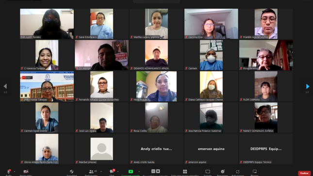 Médicos de diferentes regiones participaron en sesión virtual durante curso de discapacidad infantil